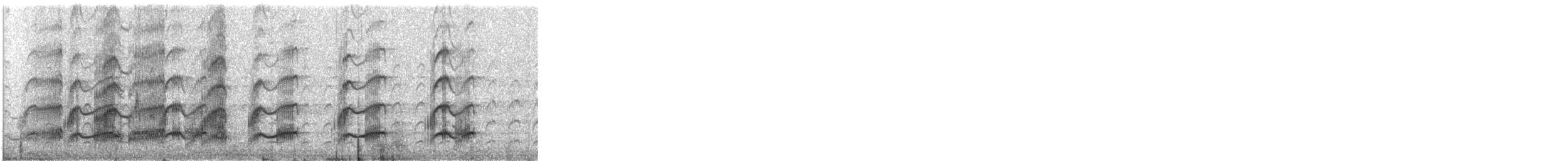 Vanneau à ailes blanches - ML591103441