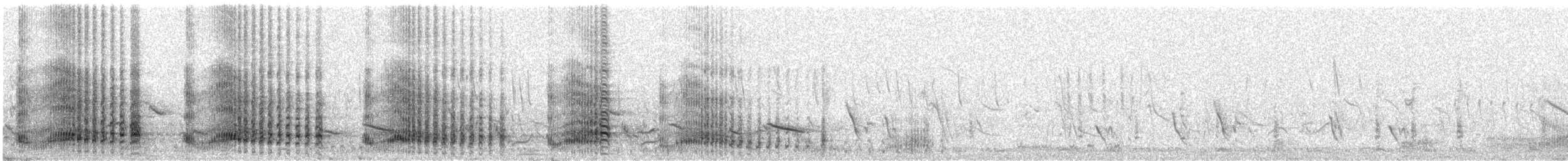 Yellow-necked Spurfowl - ML591109231