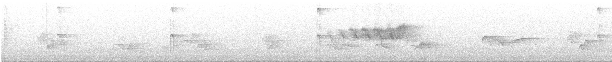 blåparula - ML591116611