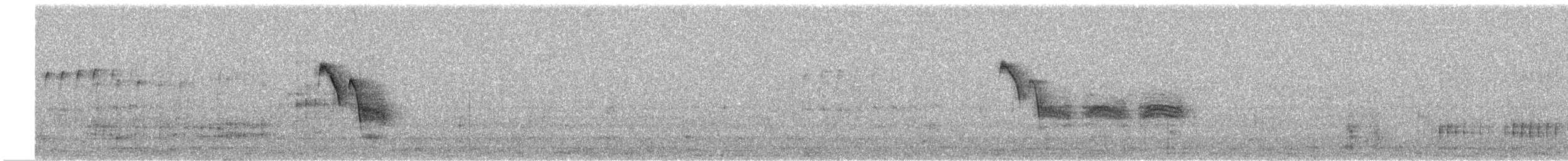 Chara de Steller - ML591126121