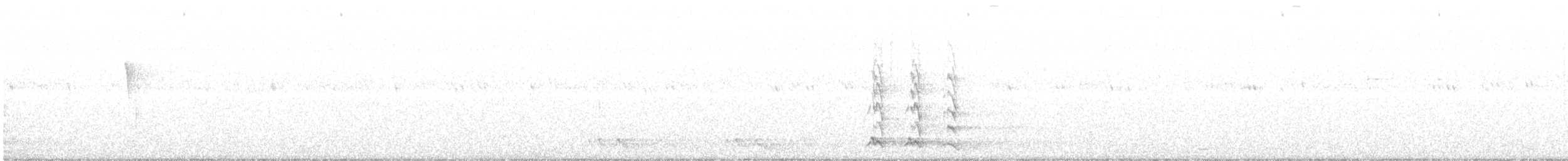 White-necked Crow - ML591134691