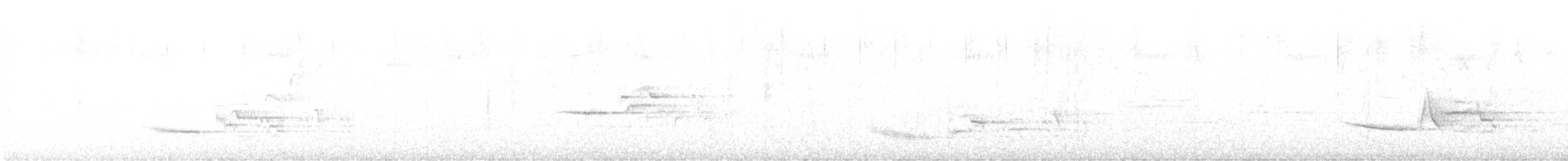 Дрізд-короткодзьоб плямистоволий - ML591146801