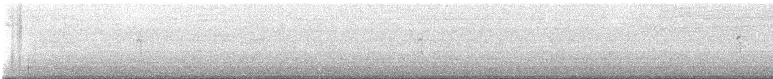 Hairy Woodpecker - ML591147111