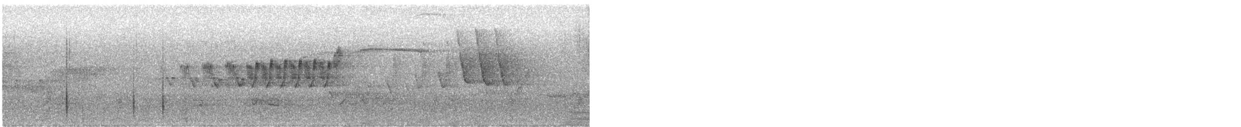 Cerulean Warbler - ML591157761