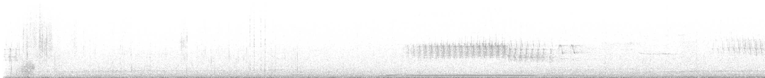 ナキイスカ - ML591160201