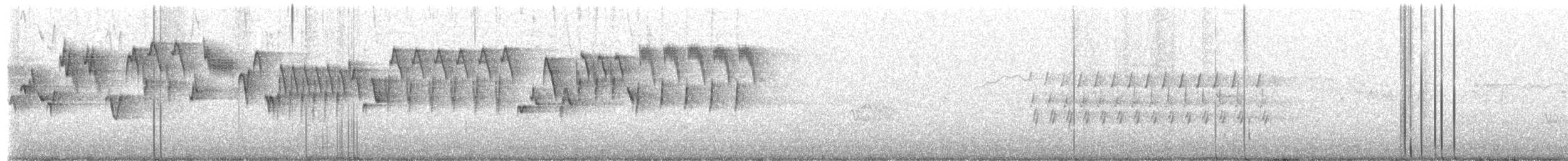 Troglodyte de Baird - ML591162541