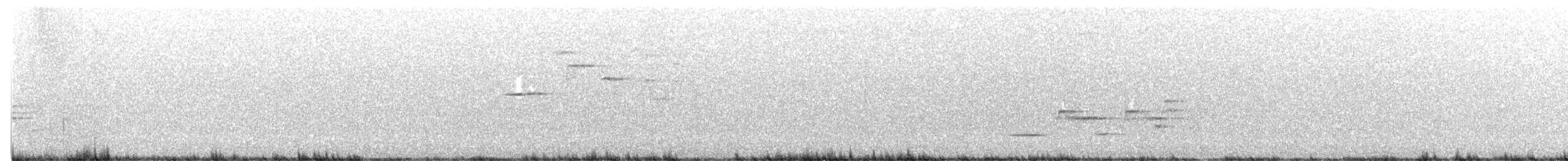 Дрізд-короткодзьоб плямистоволий - ML591176221