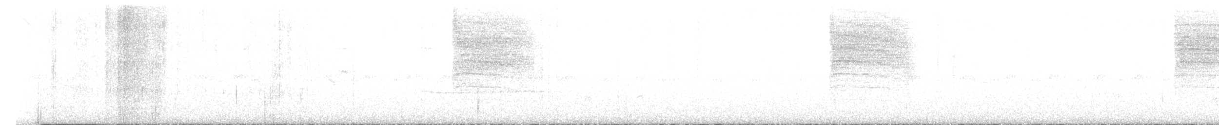 White-browed Gnatcatcher - ML591198931