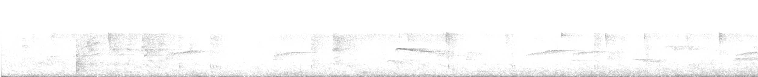 Тиран-карлик буроголовий - ML591200891