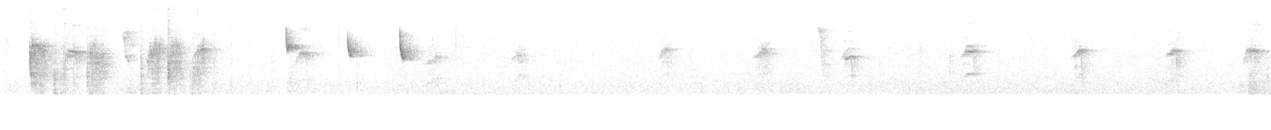 アオミミハチドリ - ML591214711