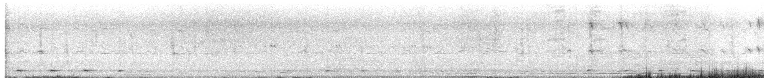 白斑黑石䳭 - ML591240121