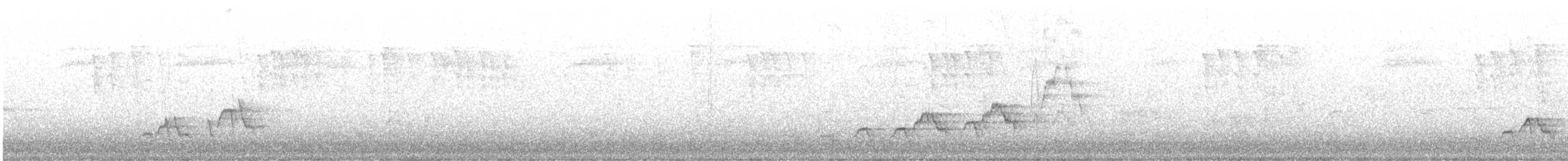 Дрізд-короткодзьоб Cвенсона - ML591249561