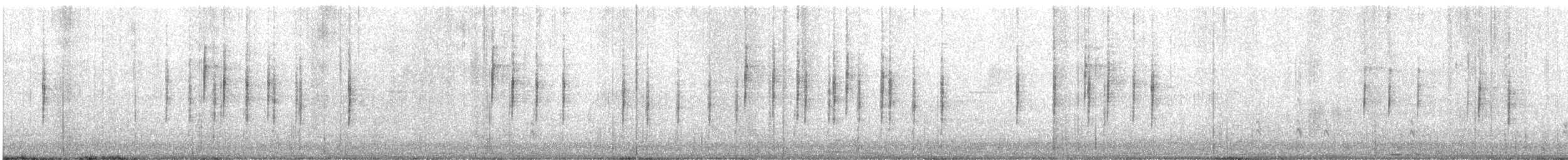 California Quail - ML591249811