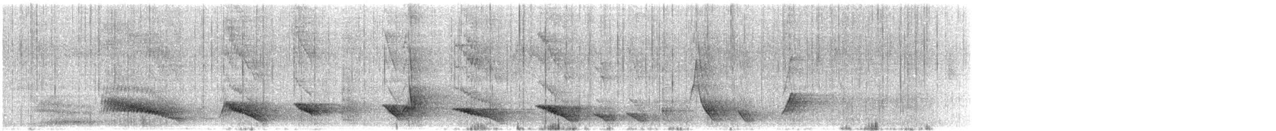 lyrochvost nádherný - ML591271071