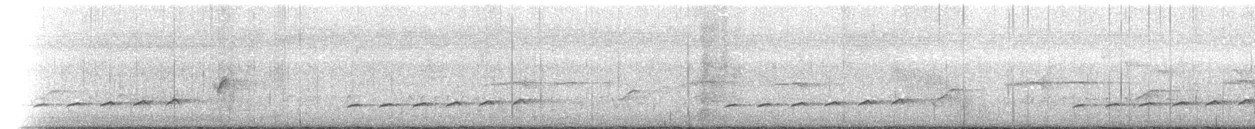 Fork-tailed Drongo-Cuckoo - ML591272081