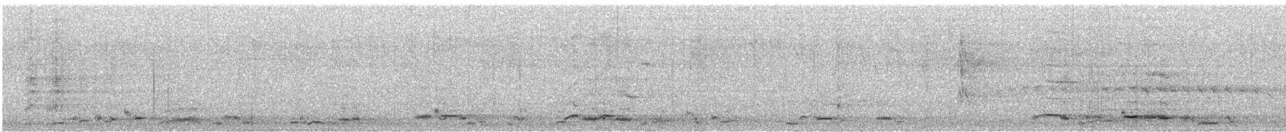 Avustralya Saksağanı [tibicen grubu] - ML591273631
