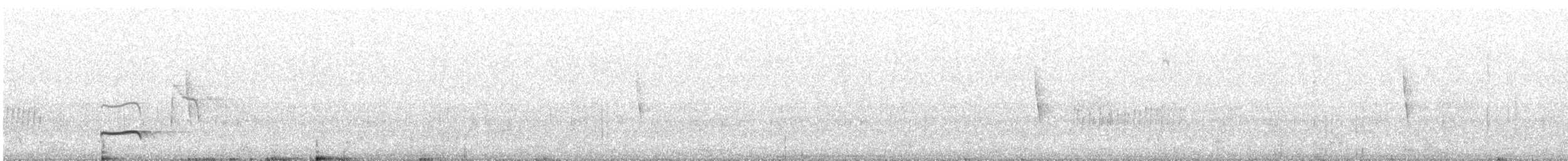Çizgili Boğazlı Çalı Tiranı - ML591281401
