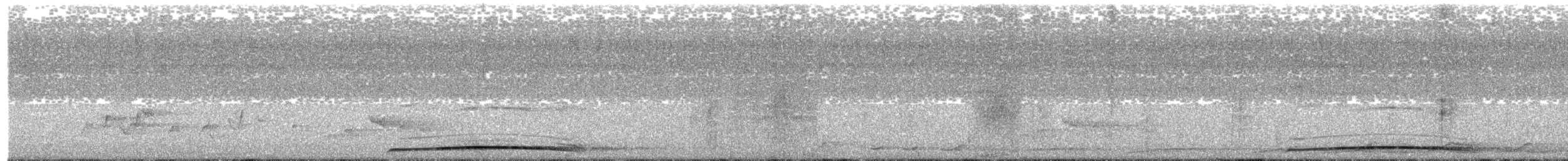Кораловоклювая воронья кукушка - ML591287131