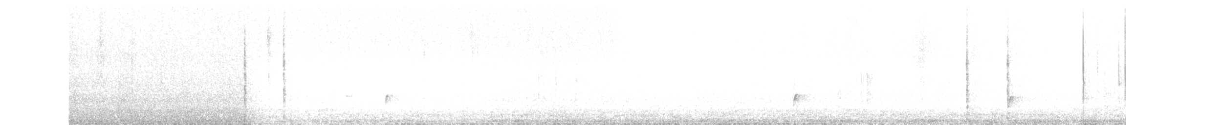 Дрізд-короткодзьоб Cвенсона - ML59131981
