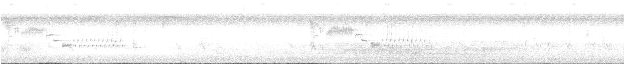 Bewick Çıtkuşu - ML591352671