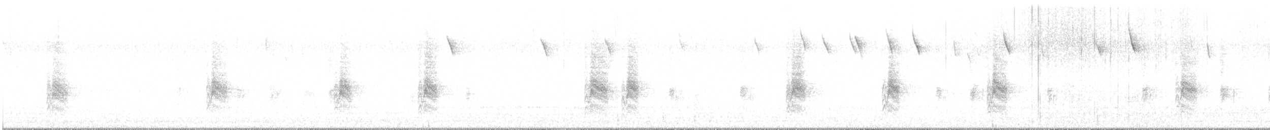 Troglodyte de Bewick - ML591354451