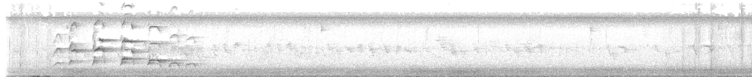 Канюк-крабоїд чорний (підвид anthracinus/utilensis) - ML591372351