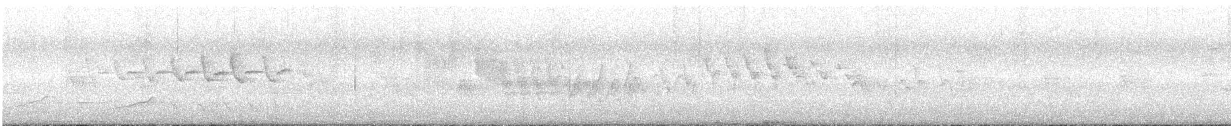 Yellow-rumped Warbler (Myrtle) - ML591388431