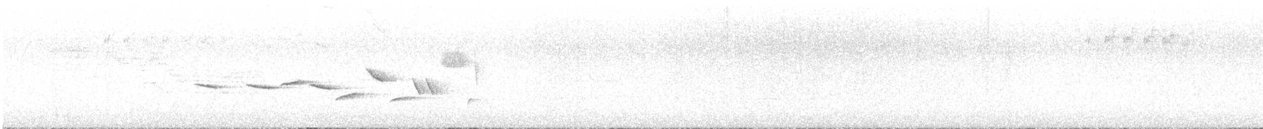 Пестрогрудая овсянка (Лисья) - ML591423571