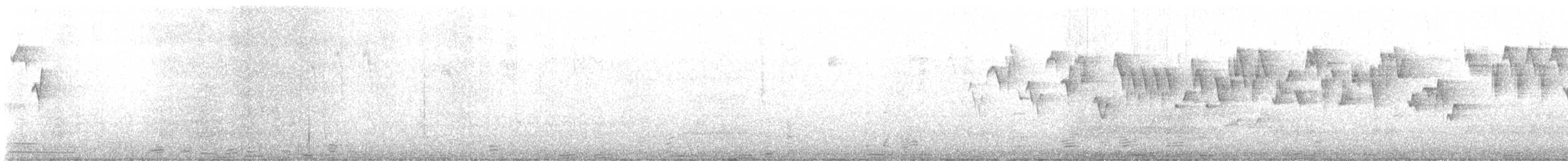 Troglodyte de Baird - ML591423671
