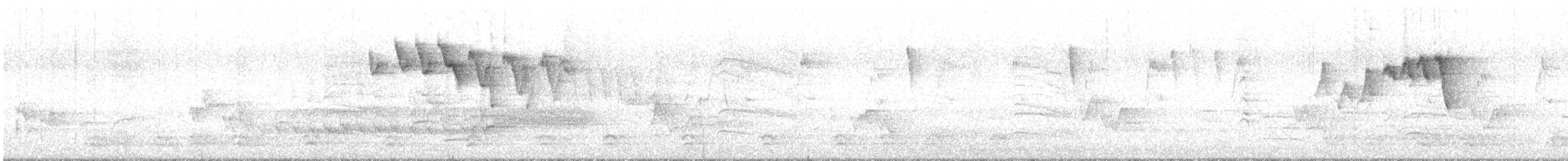 American Redstart - ML591426271