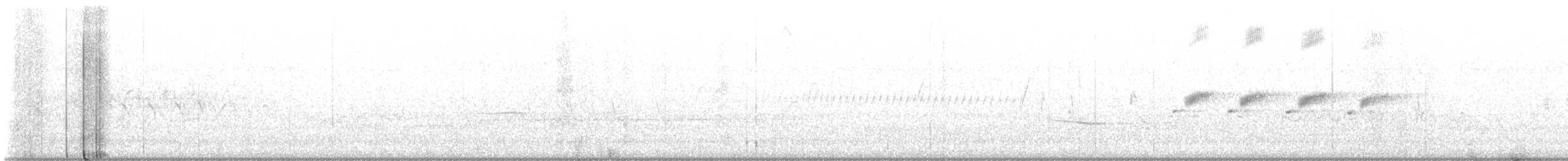 Шишкар ідагоський - ML591456021