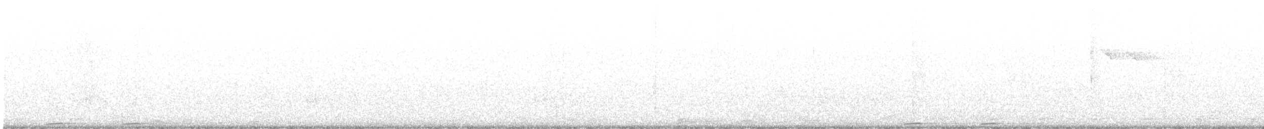 momot modrohlavý - ML591472541