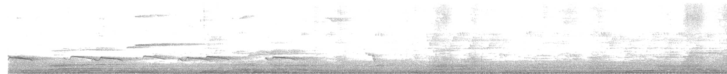 Gray-bellied Cuckoo - ML591514601