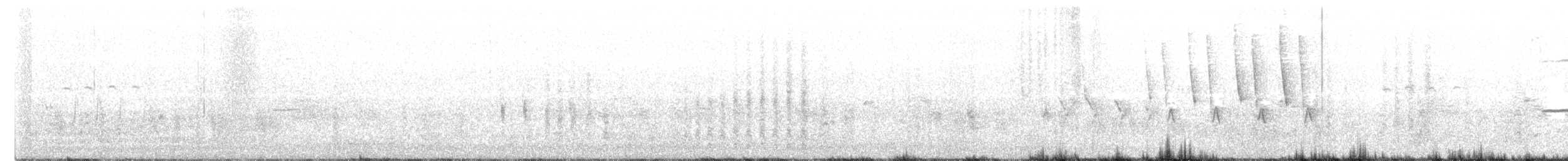 Дроздовый певун - ML591515001