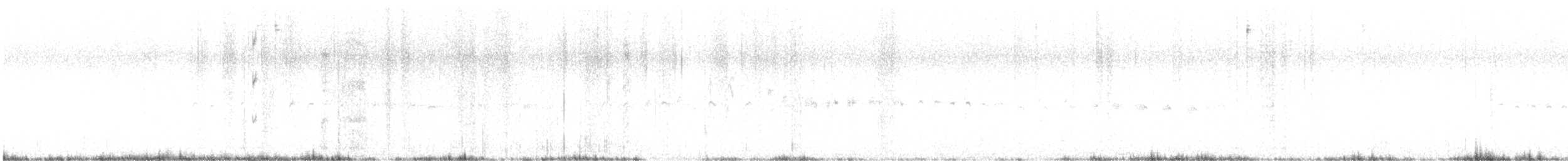 Weißbrustsegler - ML591520501