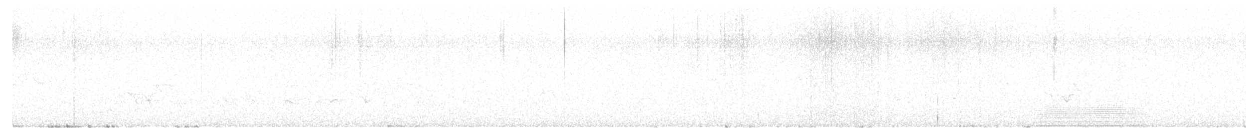 אווז הוואי - ML591544281