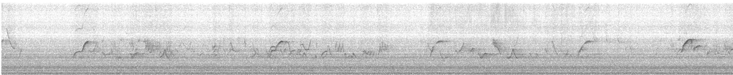 Batı Amerika Sinekkapanı (occidentalis/hellmayri) - ML591573761