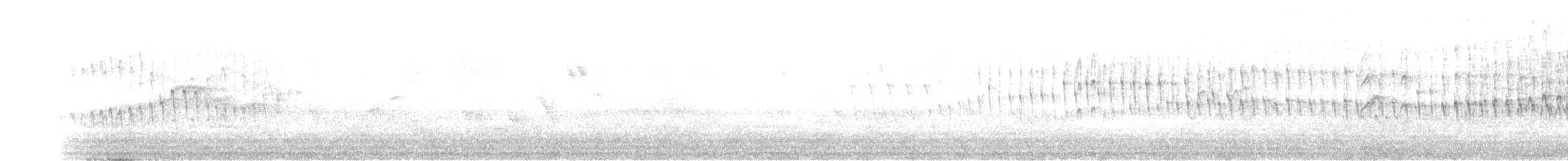Серпокрилець білочеревий - ML591583451
