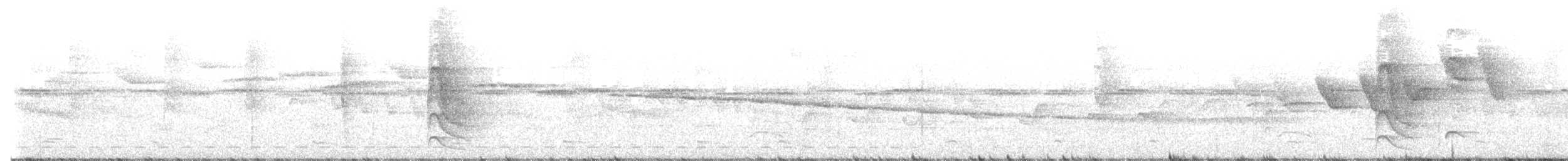 Зернолуск бразильський - ML591586071