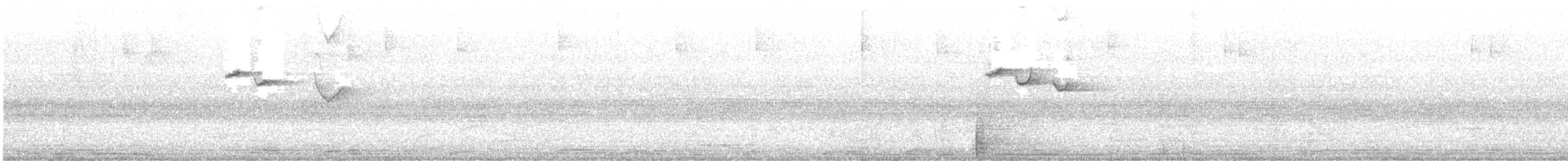 Белокрылая пиранга - ML591586471