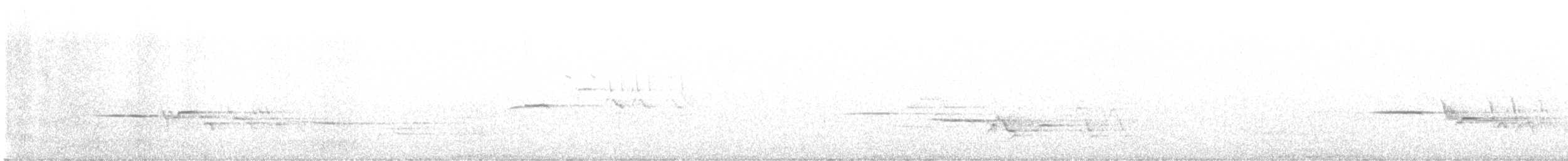 eremittskogtrost - ML591601051