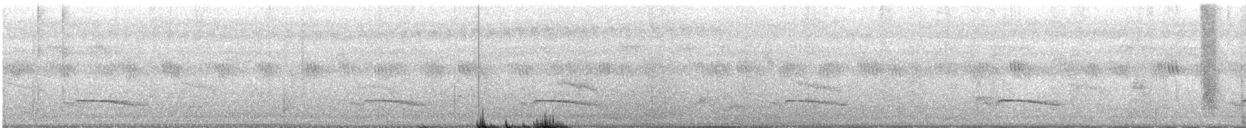 Gray-bellied Cuckoo - ML591606341