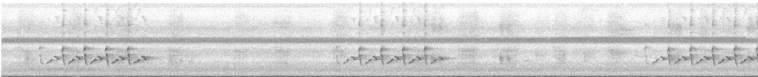 Carolinazaunkönig - ML591618041