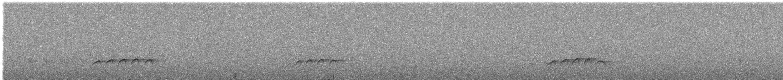 Тиран-свистун чорноголовий - ML591623481