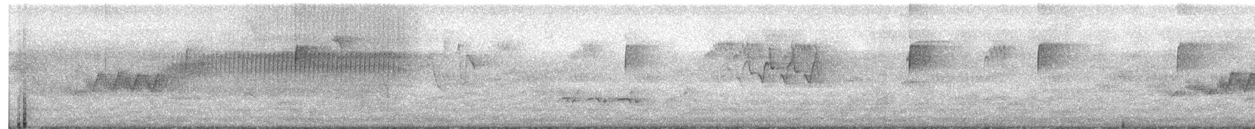Worm-eating Warbler - ML591633351