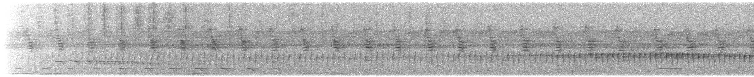 Dünnschnabel-Baumsteiger - ML591642171