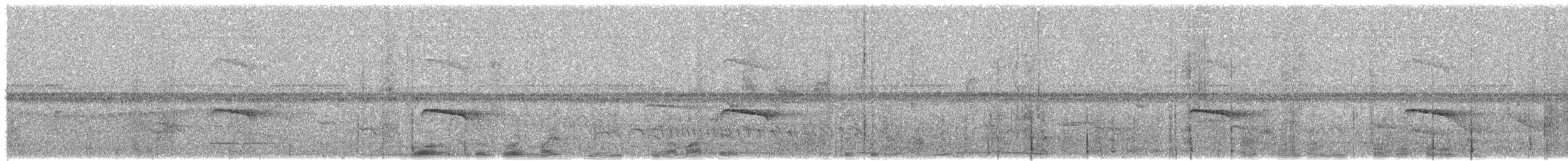 Atlantik Karınca Tiranı - ML591642511