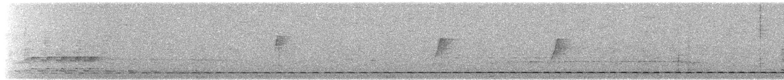 Streifenbrust-Ameisendrossel - ML591646361