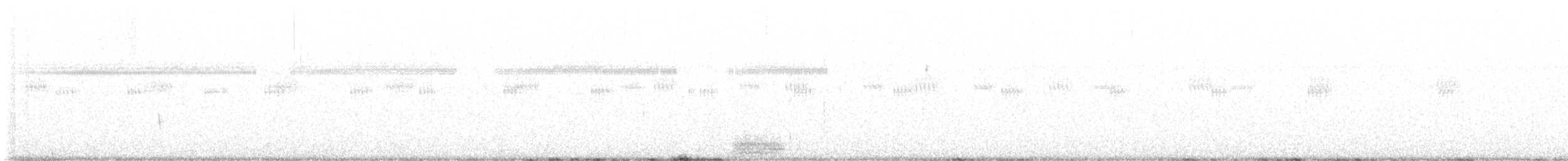 Ibis blanc - ML591654861