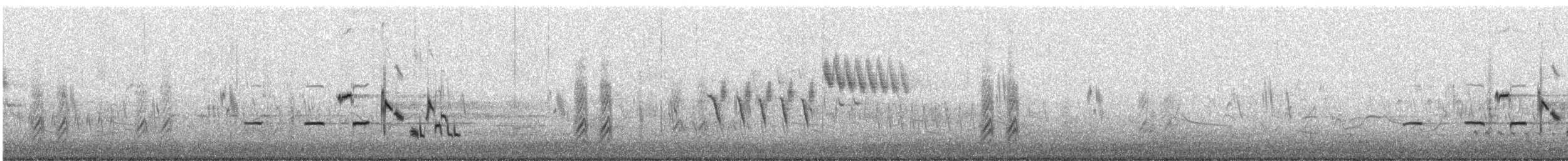 Western Meadowlark - ML591657831
